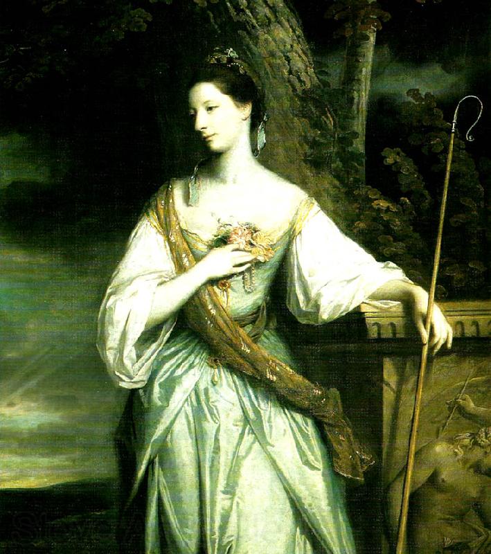Sir Joshua Reynolds anne dashivood France oil painting art